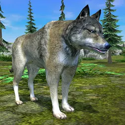 Скачать Симулятор Волка - Эволюция Диких Животных для Андроид